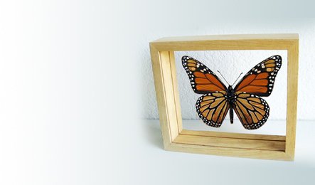 offer-banner